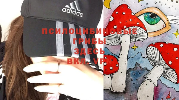 прущие грибы Иннополис