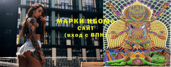 прущие грибы Иннополис