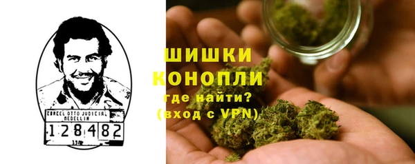 прущие грибы Иннополис