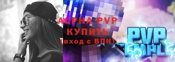 прущие грибы Иннополис