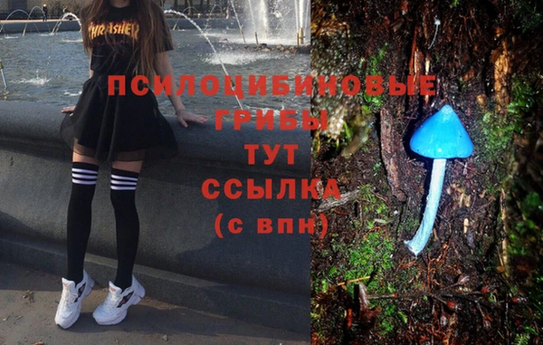 кокаин колумбия Инта