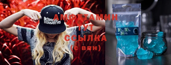 прущие грибы Иннополис